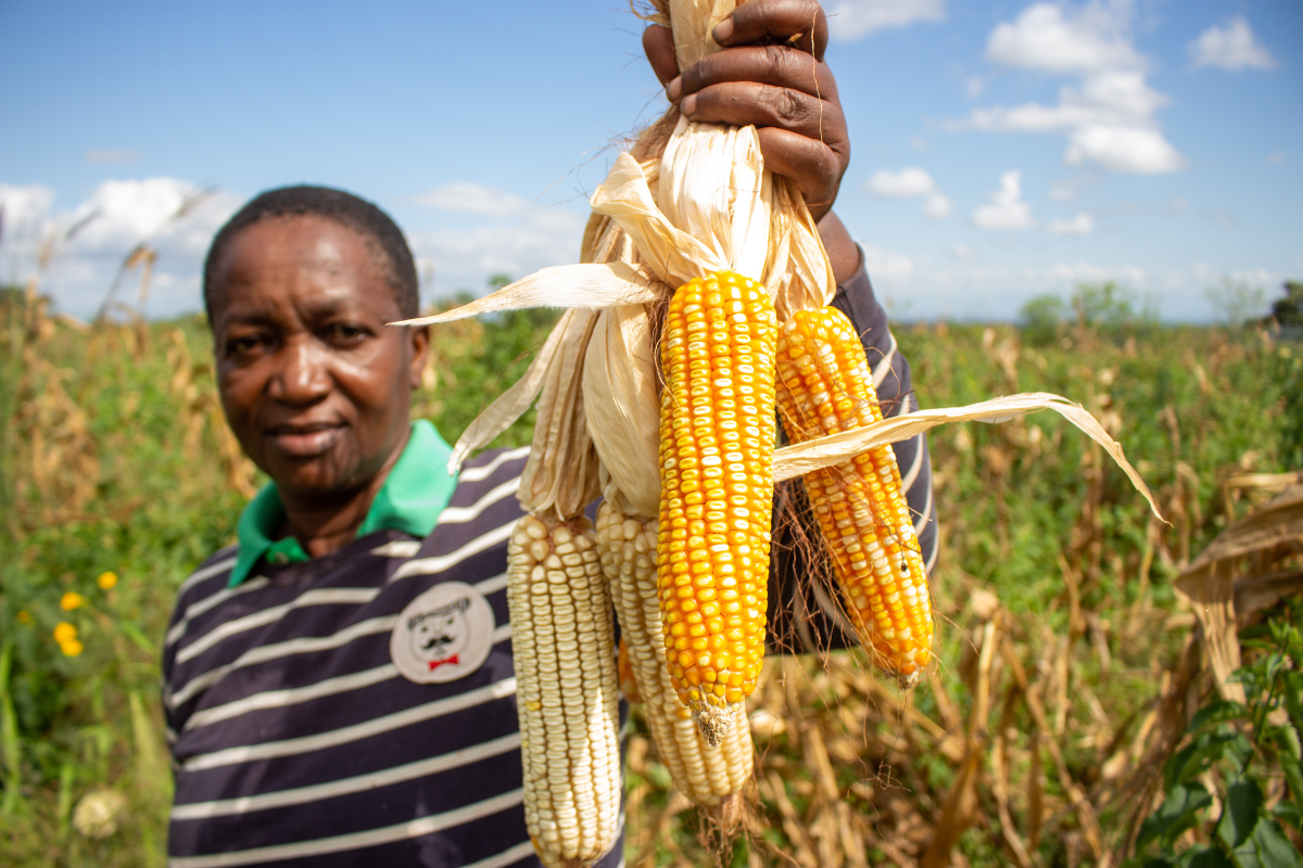 New Partnership with Local Farmers Cooperative