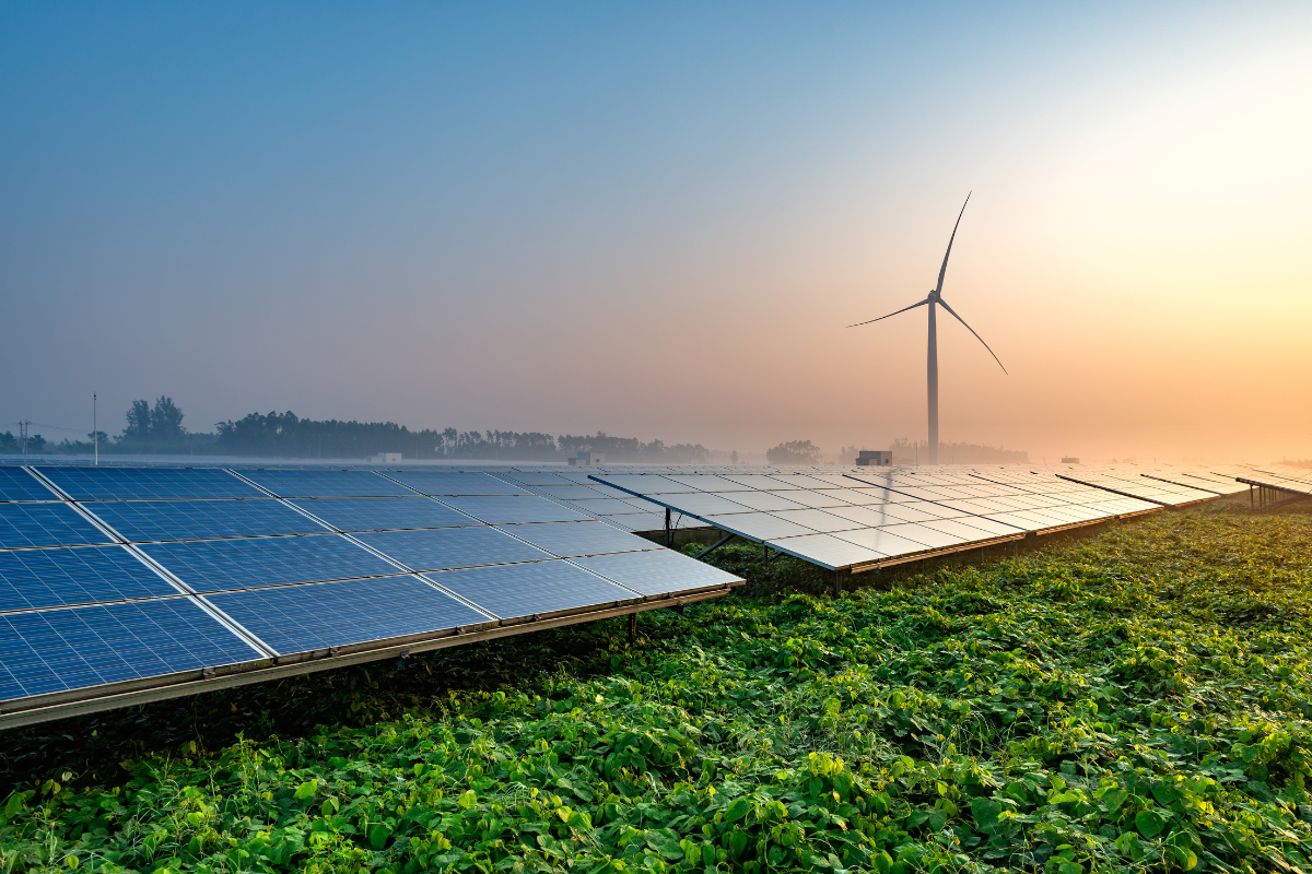 Sustainable farming